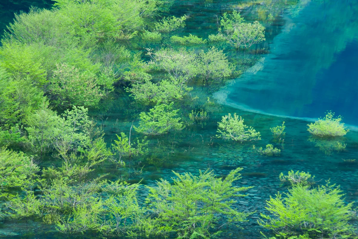 投稿写真：奥四万湖の浮島