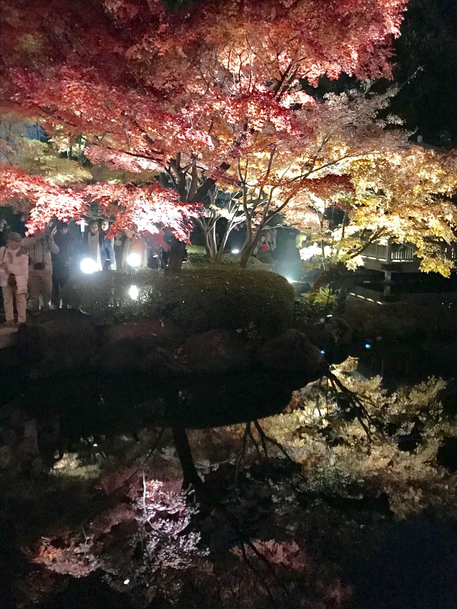 投稿写真：『池を鏡に、お色直し』