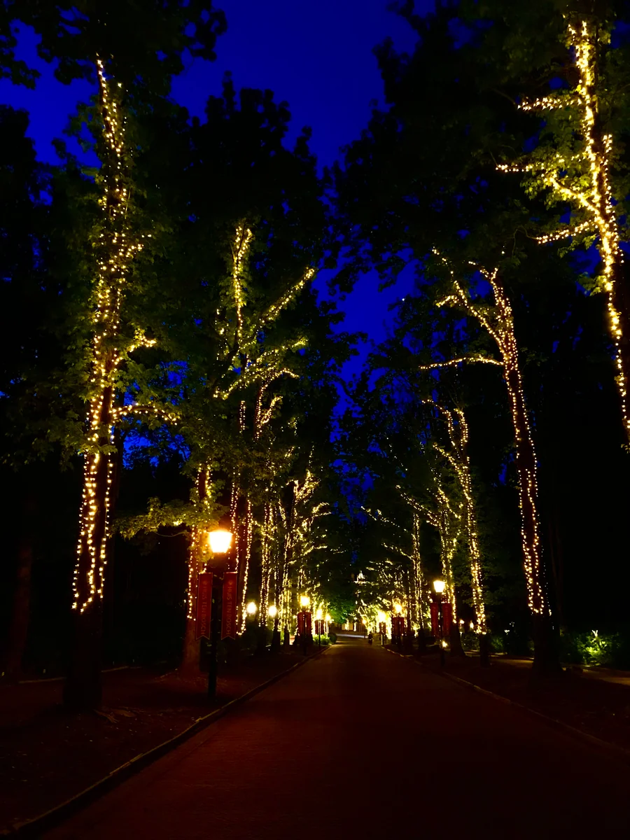 投稿写真：宮殿への道