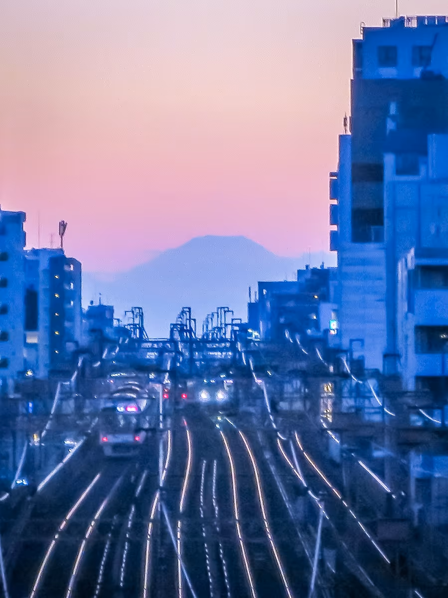 投稿写真：複々線と夕富士