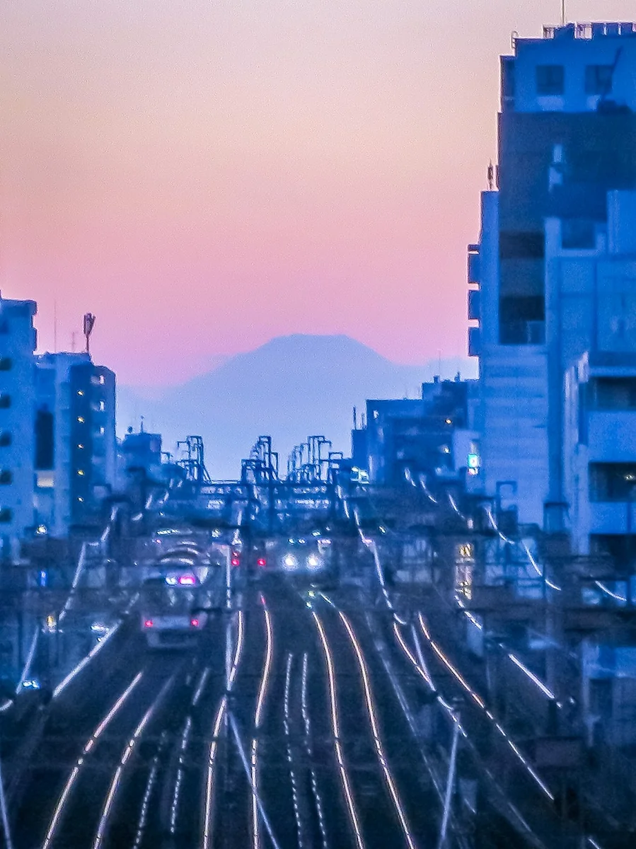 投稿写真：複々線と夕富士