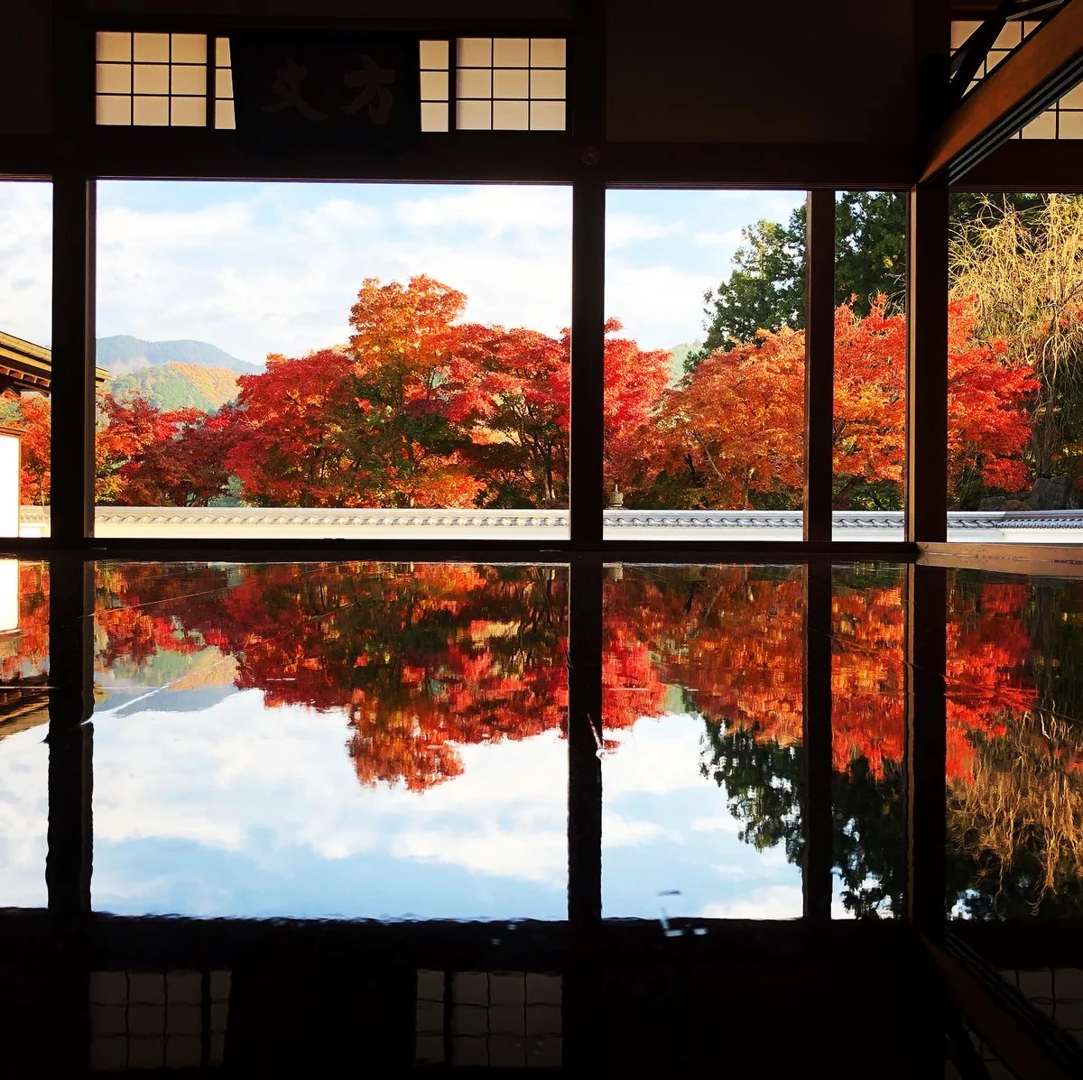 投稿写真：宝徳寺の床もみじ