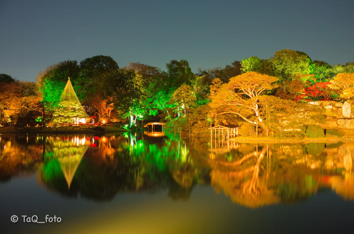 めろんぱんさんの投稿写真