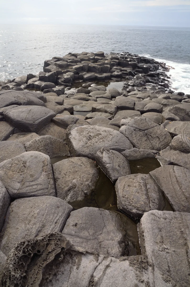 投稿写真：伊豆のジャイアントコーズウェー