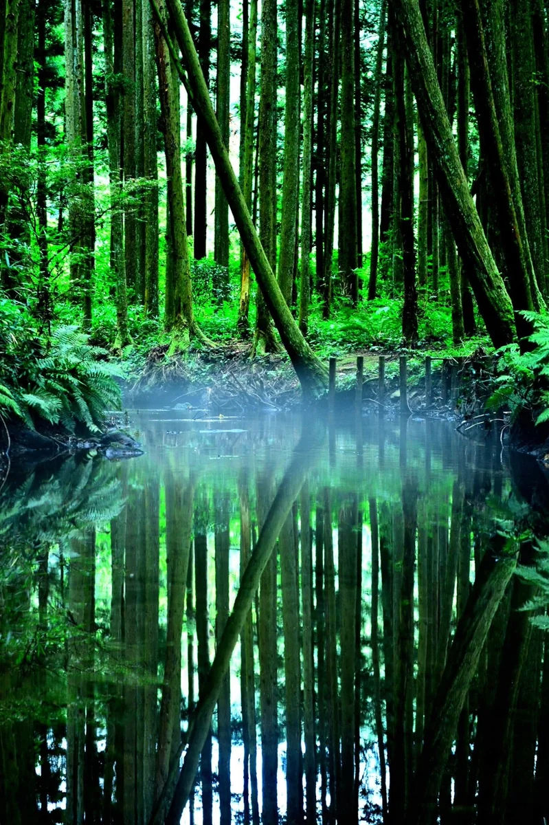 Yuichi Hashimotoさんの投稿写真