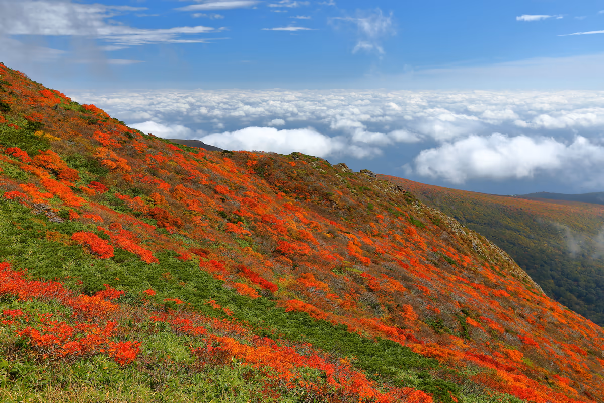 投稿写真：栗駒山の紅葉と雲海