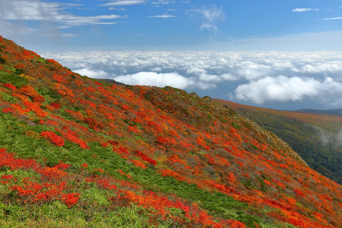 溝口 崇さんの投稿写真