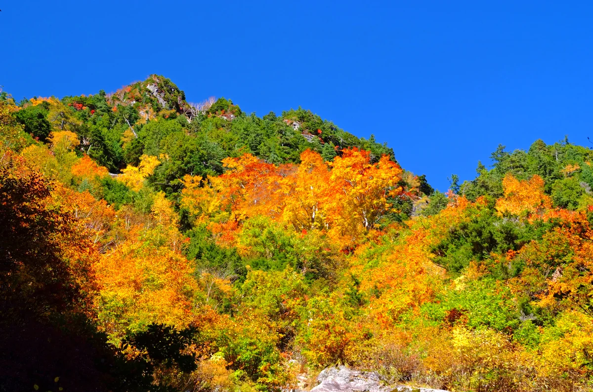 投稿写真：涸沢への道で