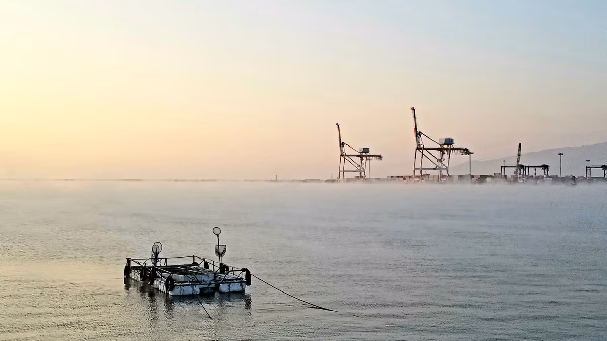 投稿写真：印象､朝霧 志布志の港