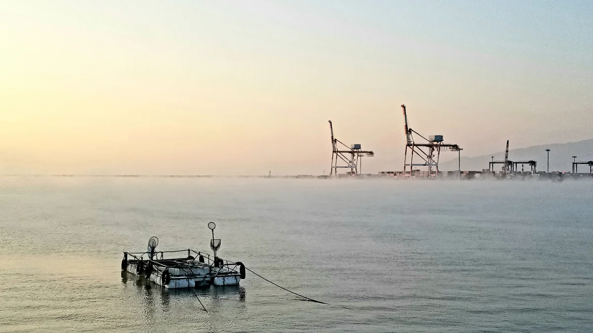 投稿写真：印象､朝霧 志布志の港