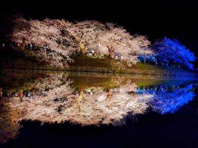  | 絶景事典