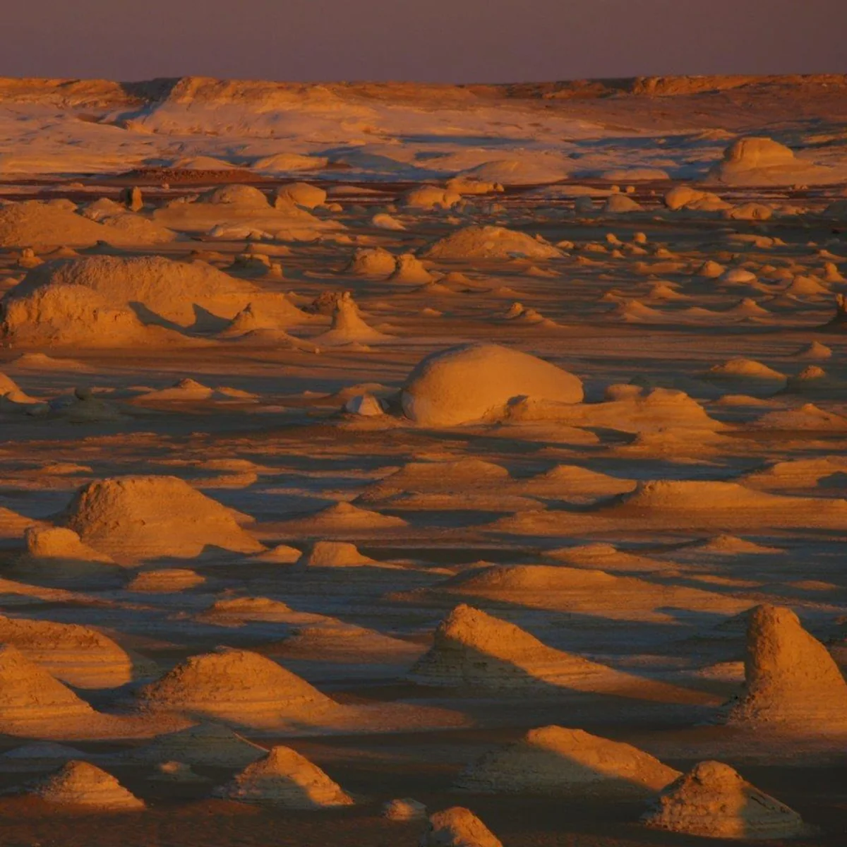 投稿写真：エジプト　白砂漠の夕景