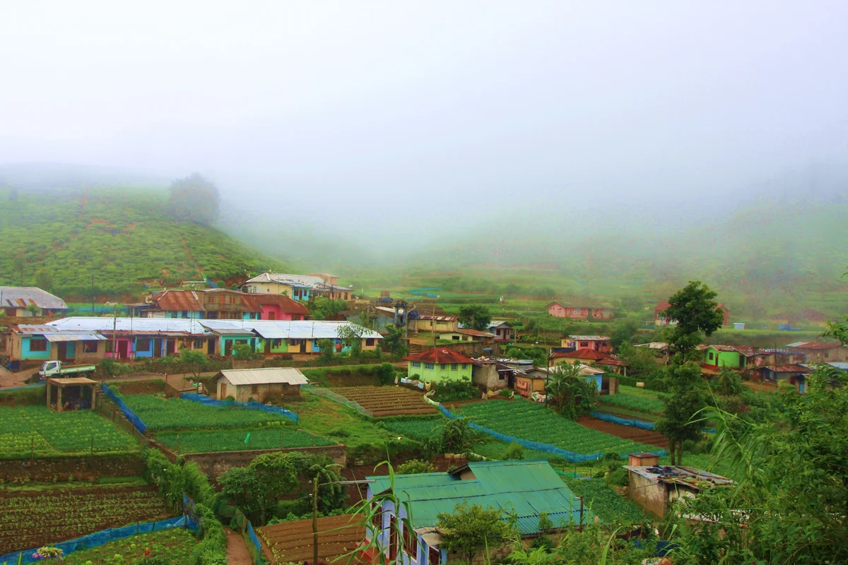 投稿写真：スリランカ ヌワラ・エリヤ