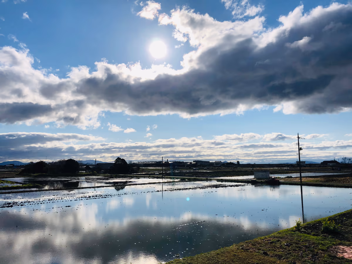 投稿写真：蓮田からの瀬戸内海