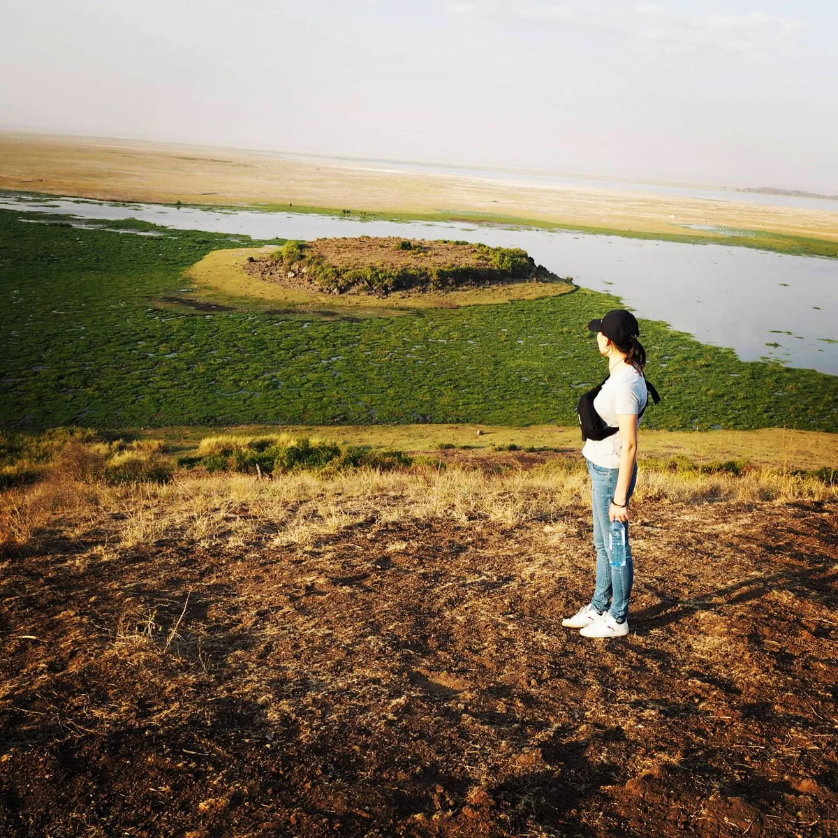 投稿写真：オブザベーションヒル