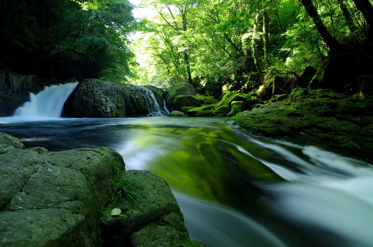 清流さんの投稿写真