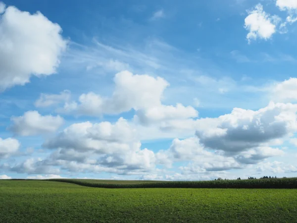 投稿：十勝平野