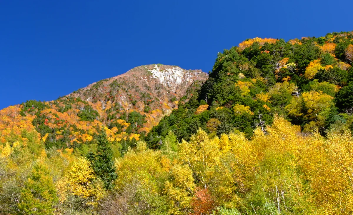 投稿写真：岳沢の秋、極まる