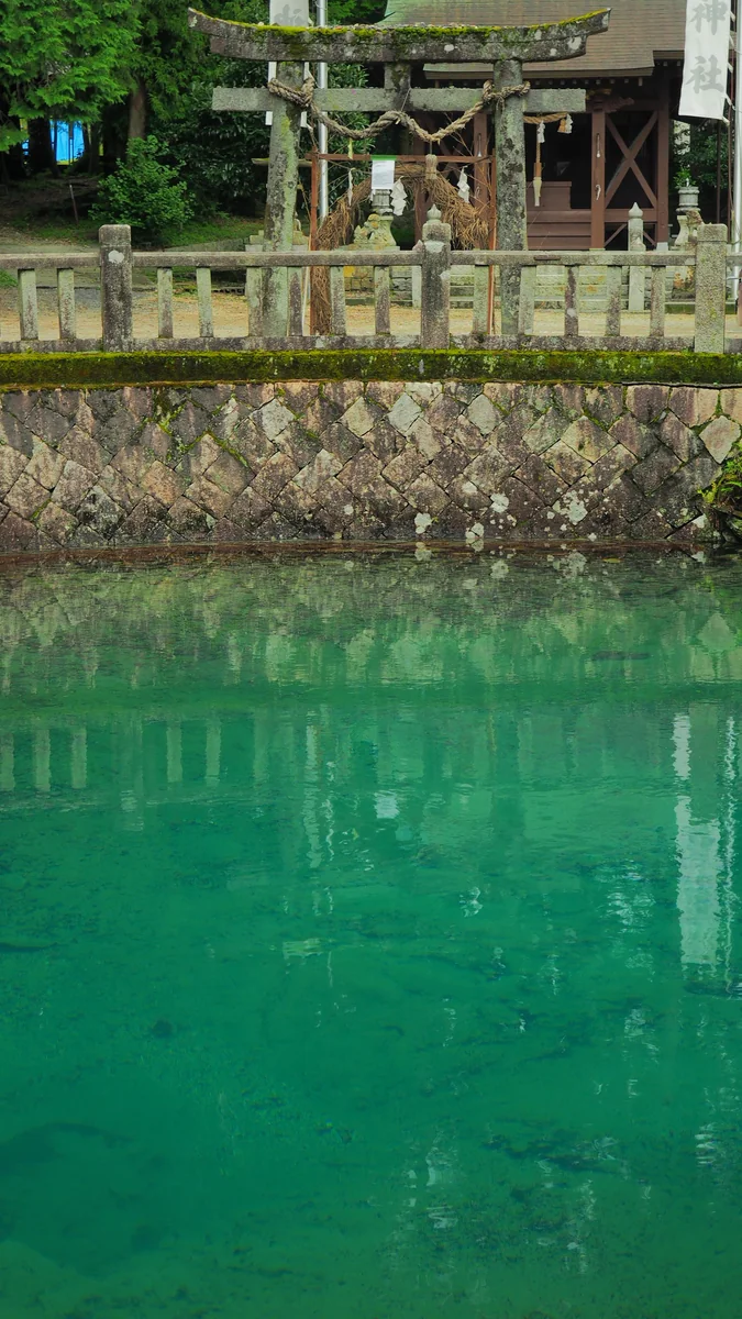 投稿写真：別府弁天池湧水