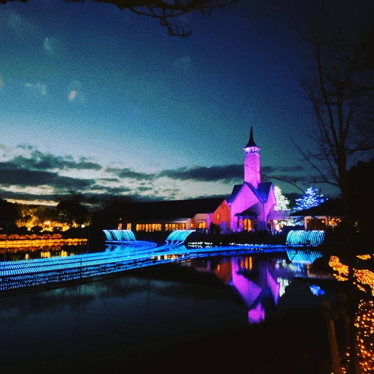 投稿写真：なばなの里