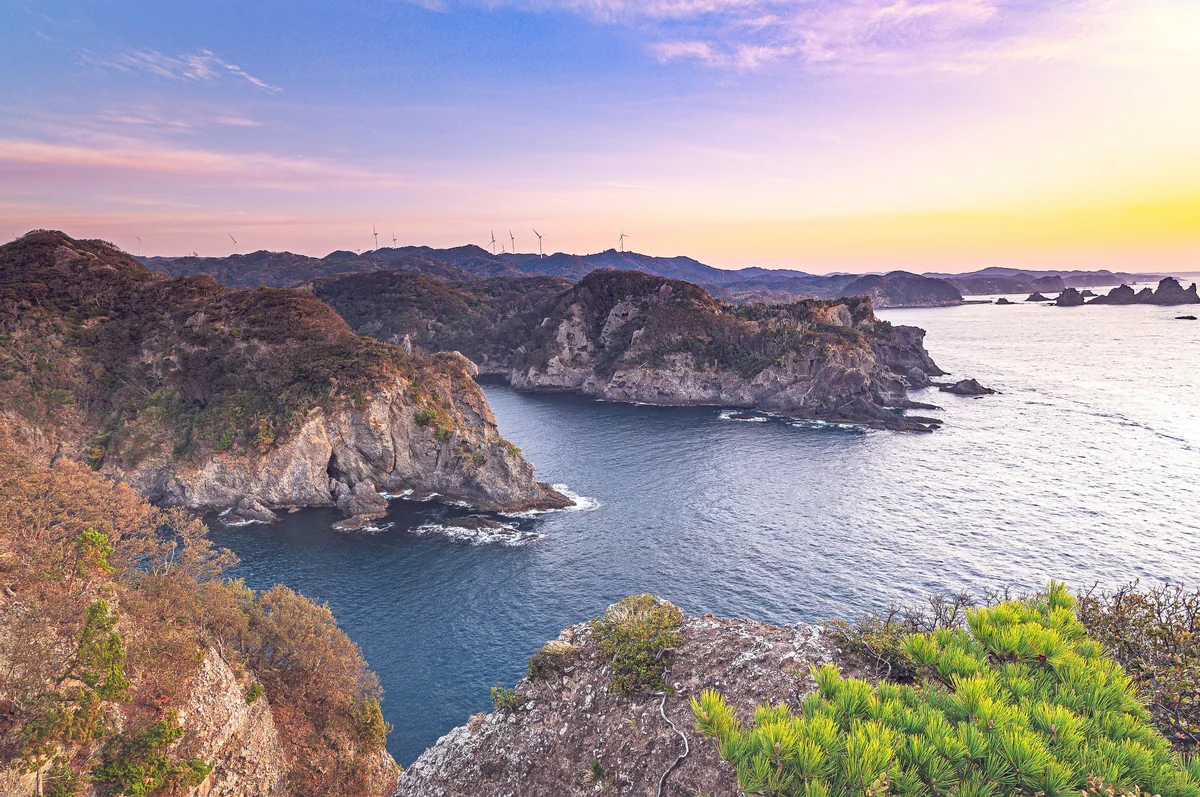 投稿写真：ジオの目醒め