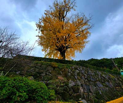  | 絶景事典