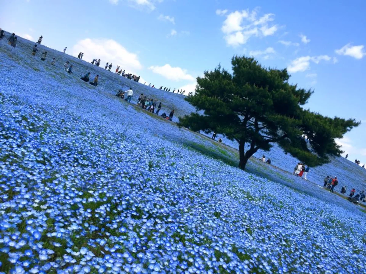 投稿写真：空と繋がる丘