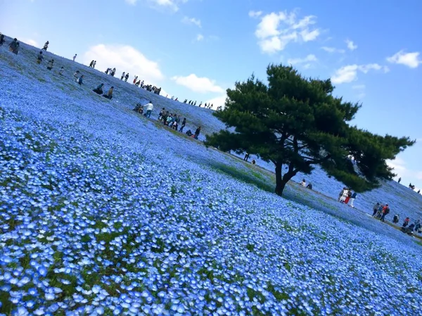 投稿：空と繋がる丘