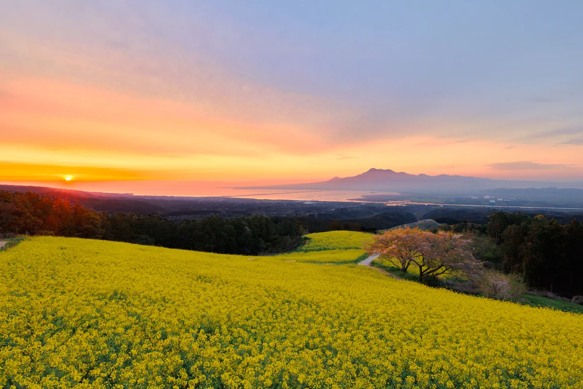 投稿写真：高原の日の出