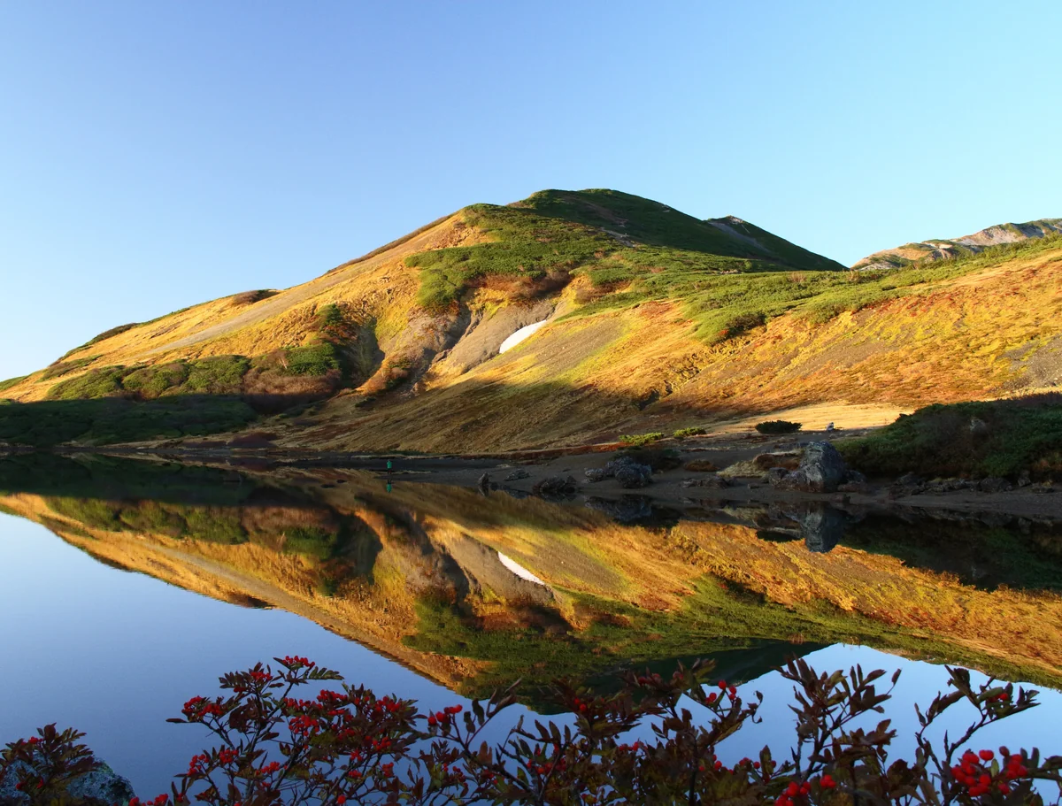 投稿写真：白馬大池