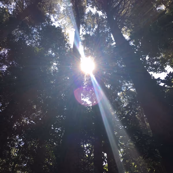 投稿：龍王