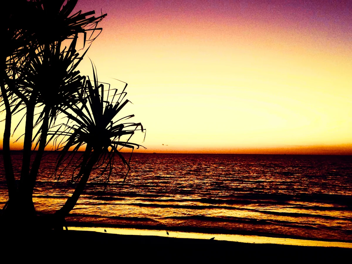 投稿写真：ダーウィンの夕陽