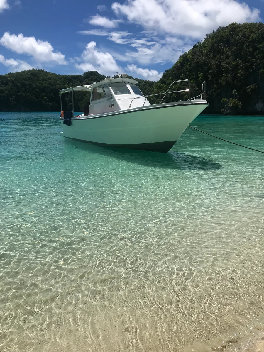 投稿写真：palau