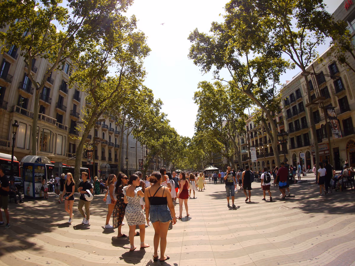 投稿写真：ある日のスペイン