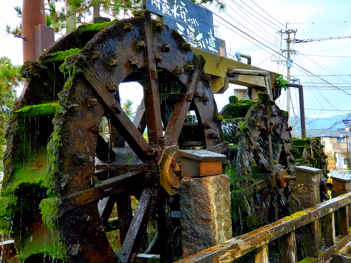 投稿写真：貴重な三連水車