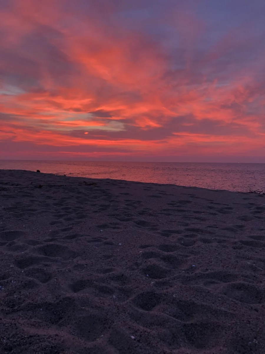 投稿写真：鳥取県　sunset