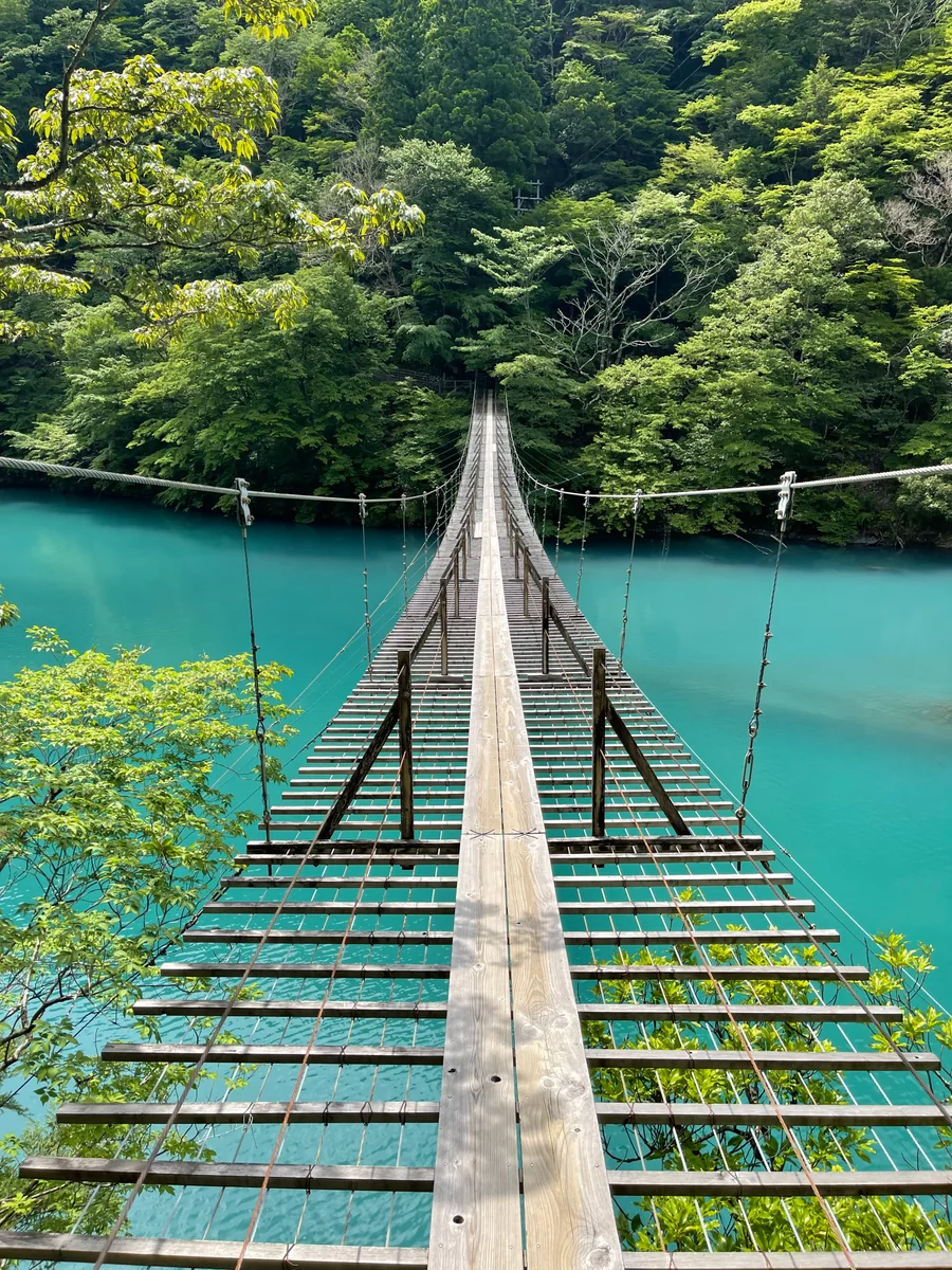 投稿写真：夢の吊り橋