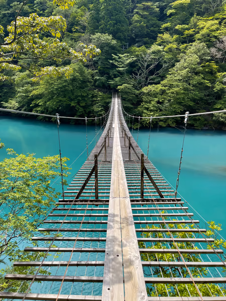 投稿：夢の吊り橋