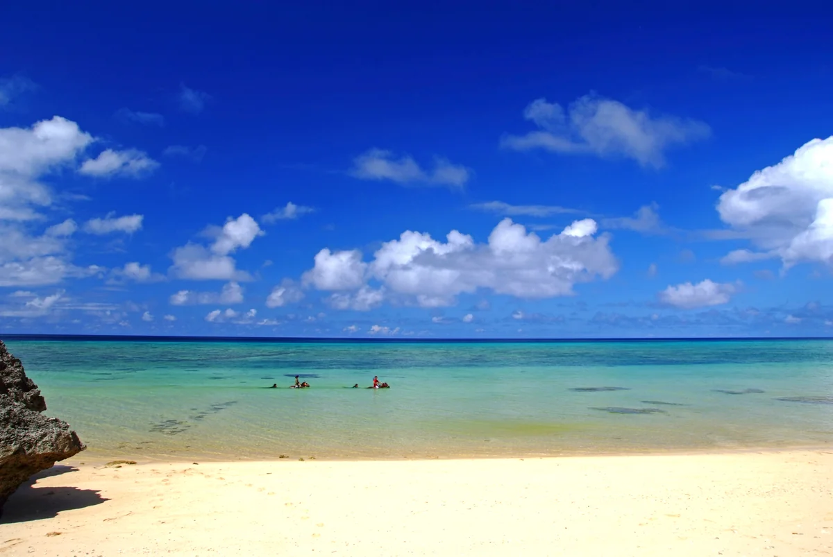 投稿写真：馬も人も楽しそう！