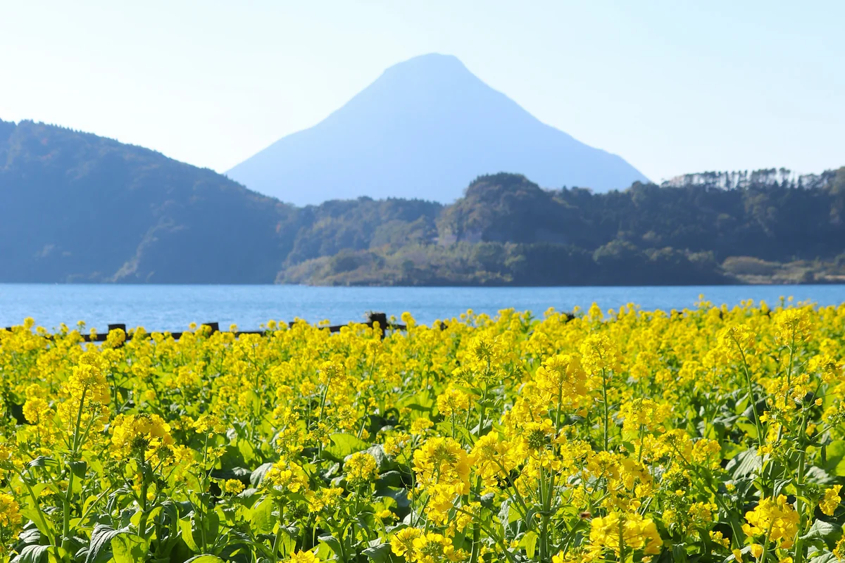投稿写真：早春の予感
