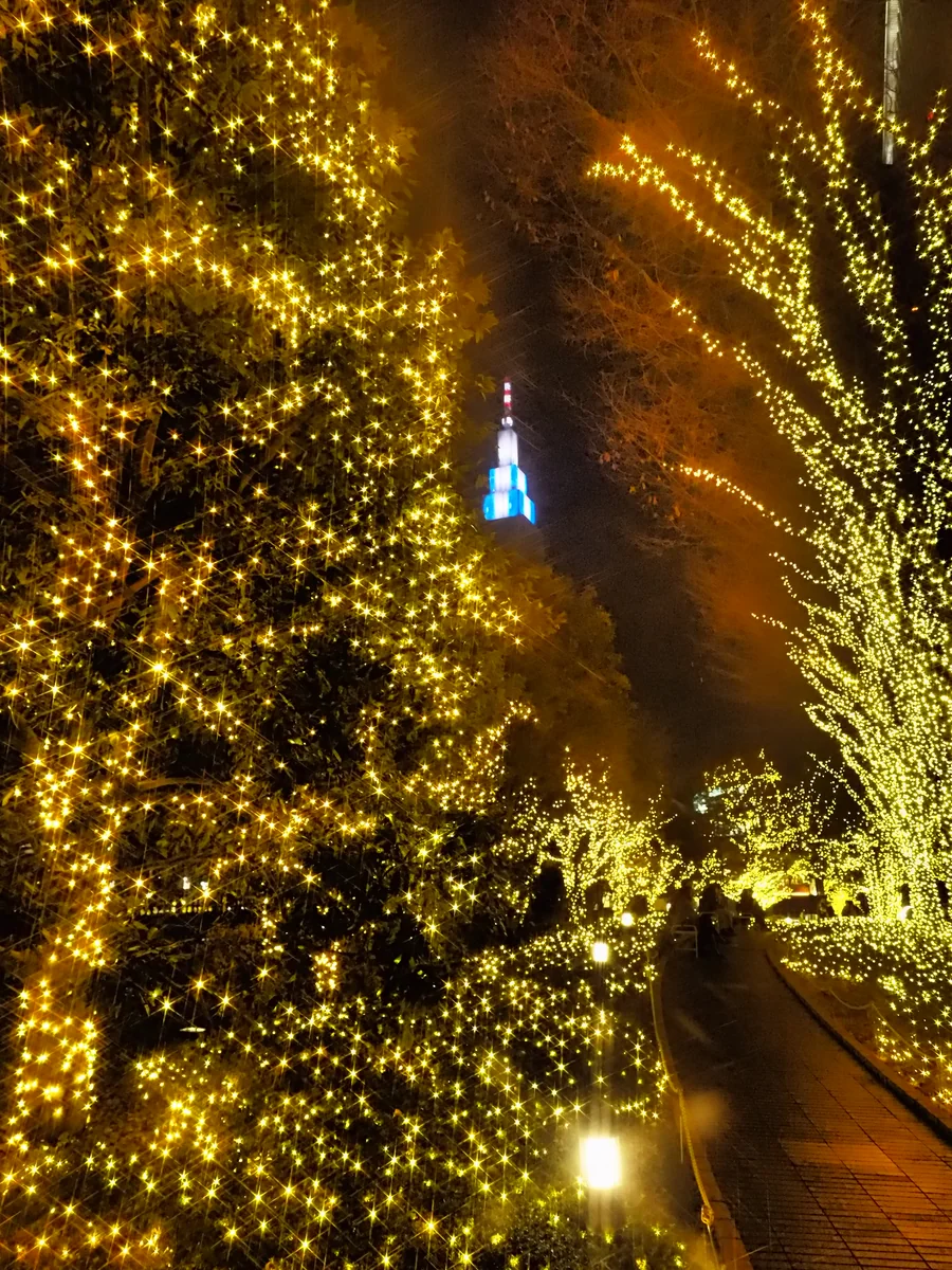 投稿写真：新宿イルミネーション