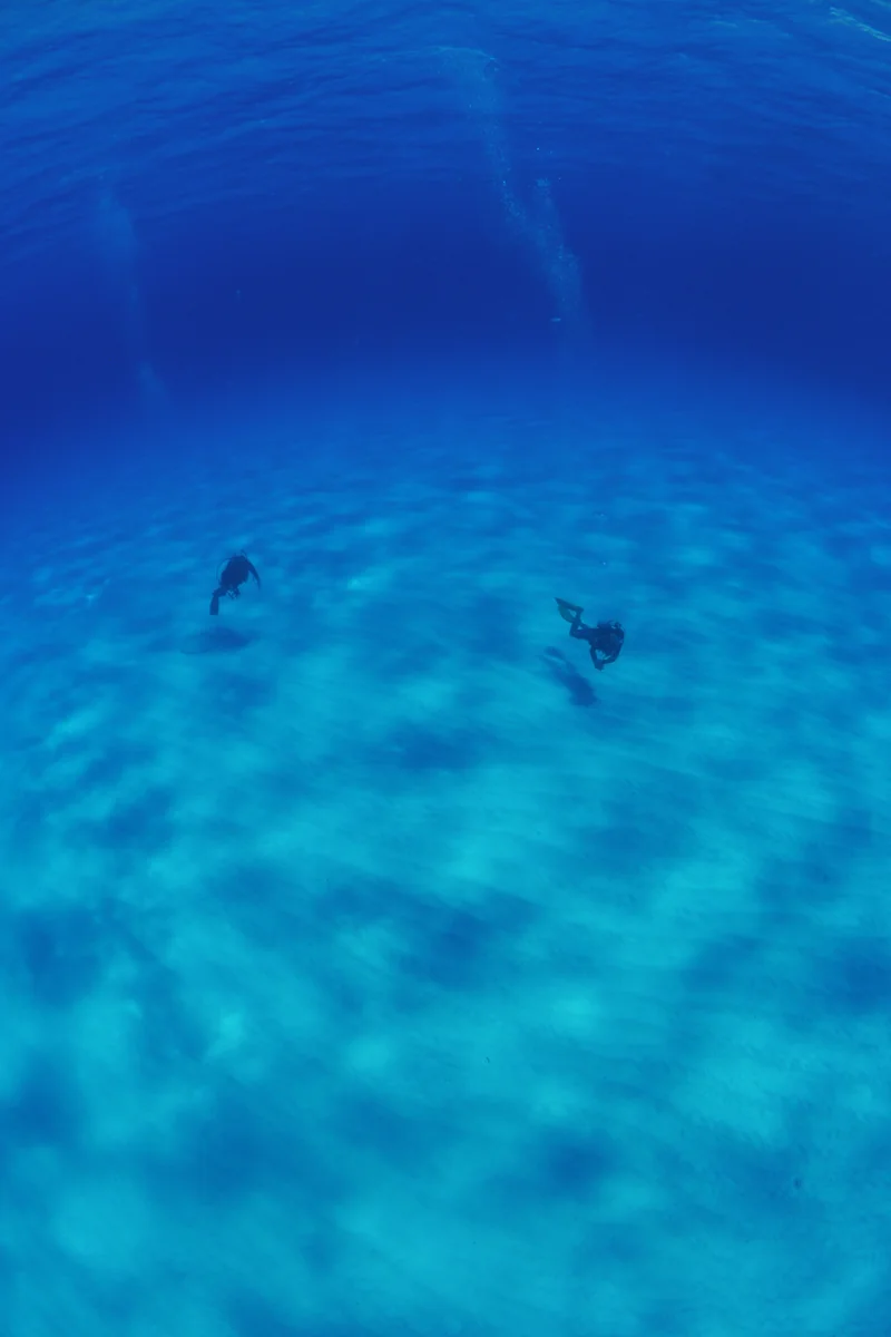 投稿写真：白い砂の海底