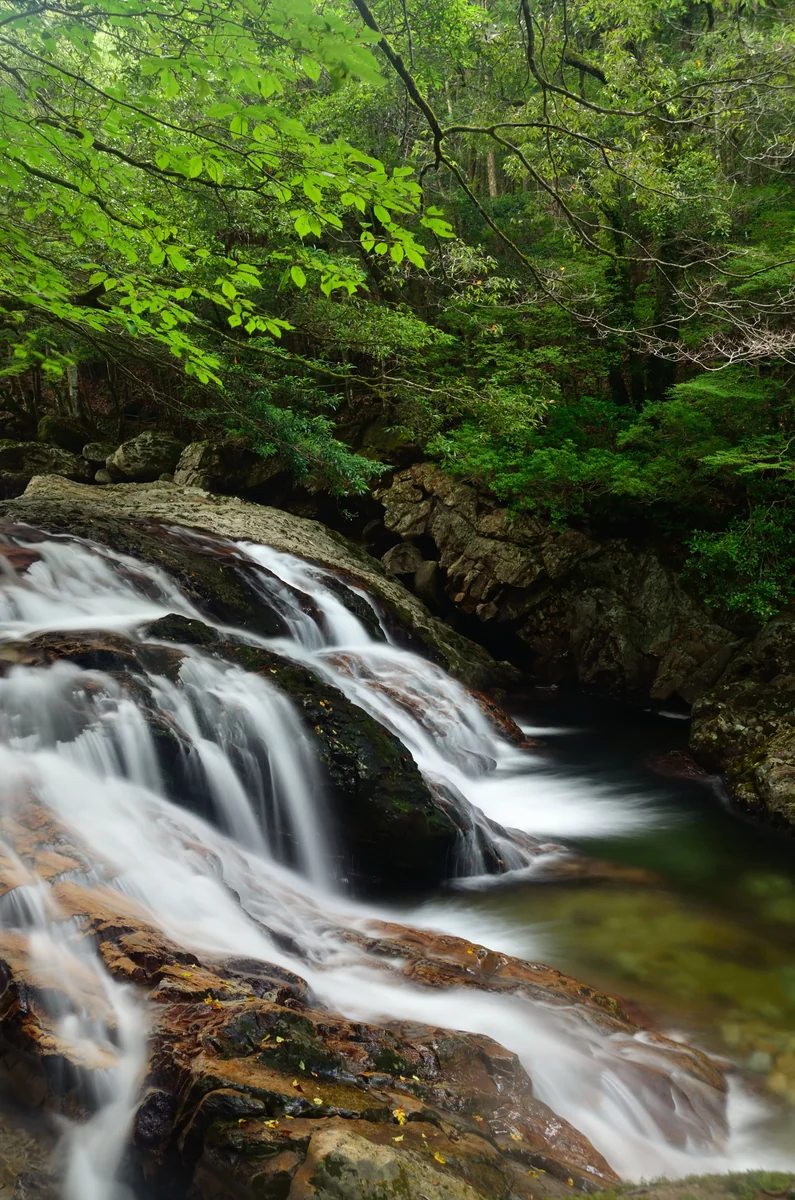 投稿写真：滑床渓谷　夏のながれ