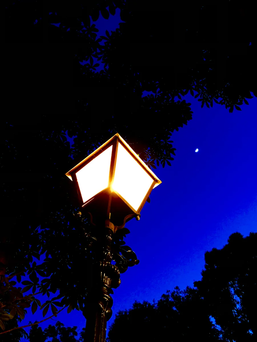 投稿写真：今宵の月はとても綺麗ですね。