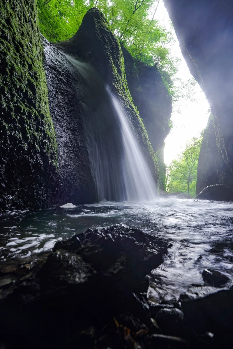投稿写真：シワガラの滝