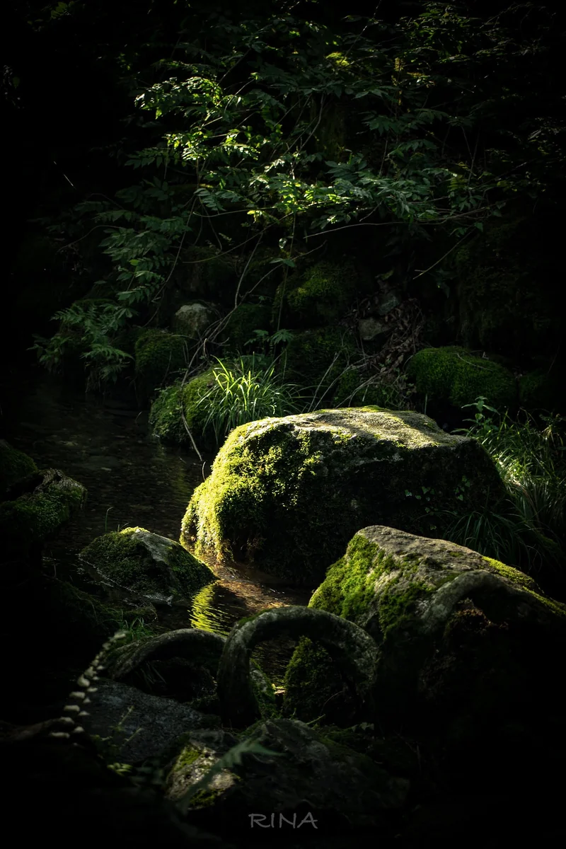 投稿写真：清流