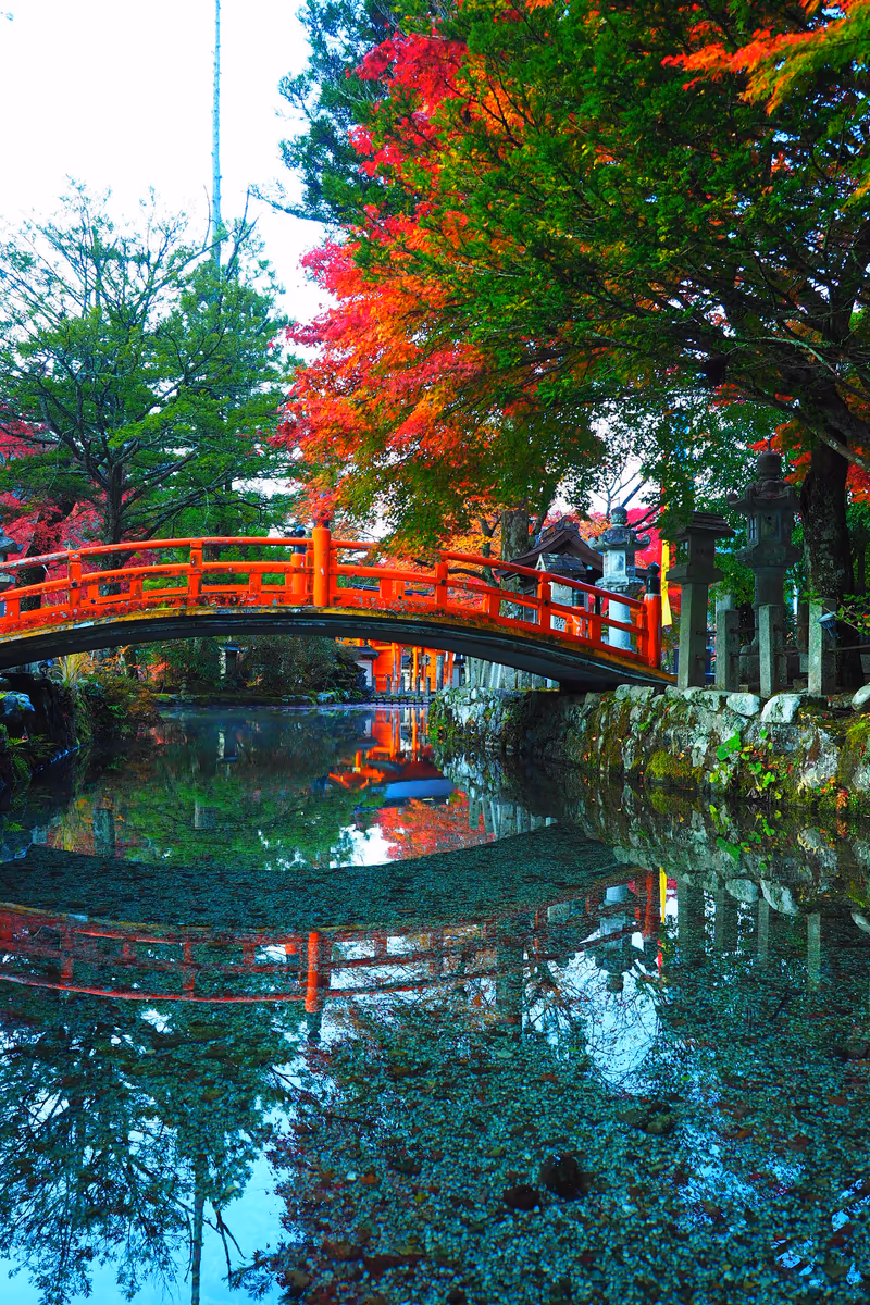投稿写真：天川村　龍泉寺　秋の景