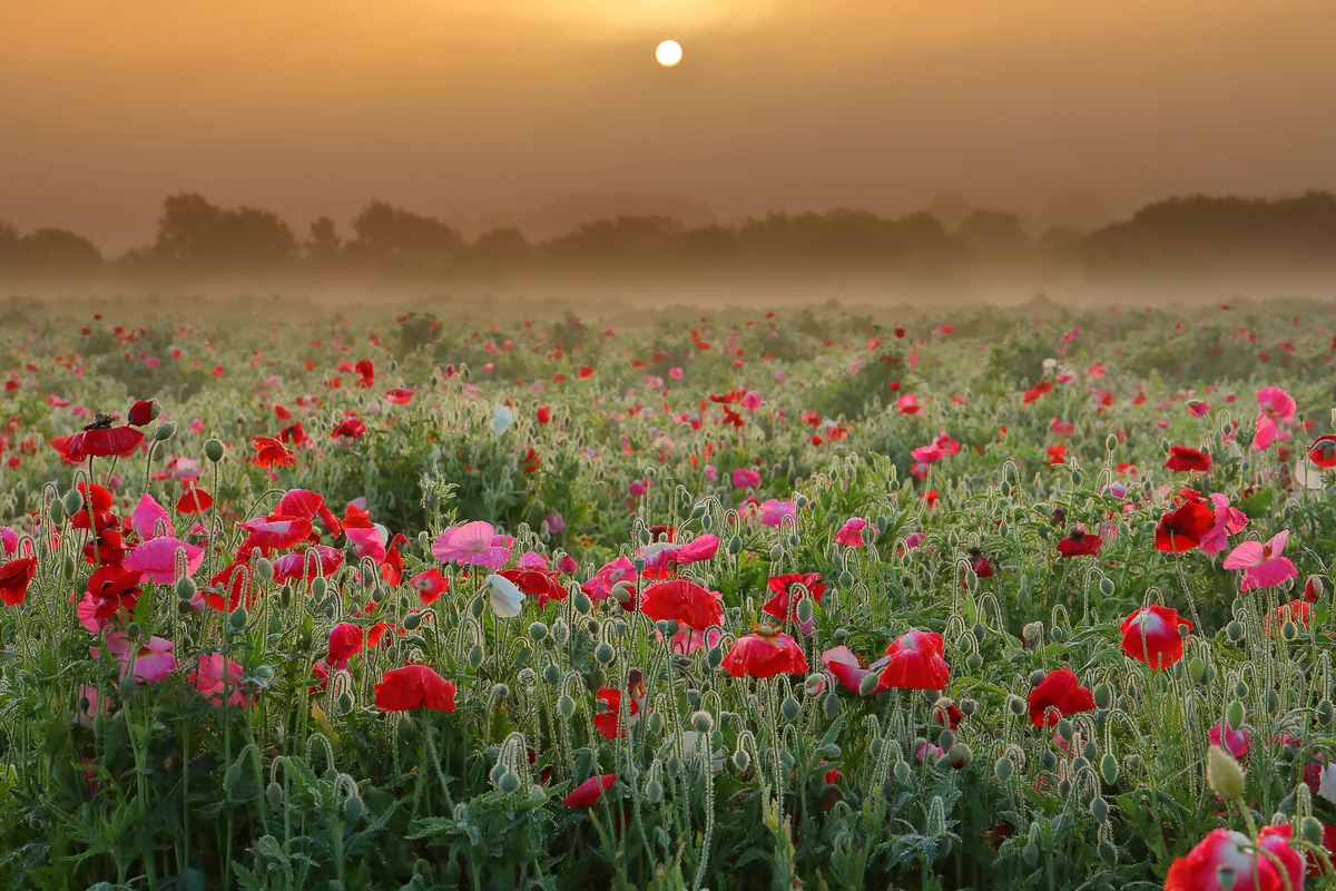 溝口 崇さんの投稿写真