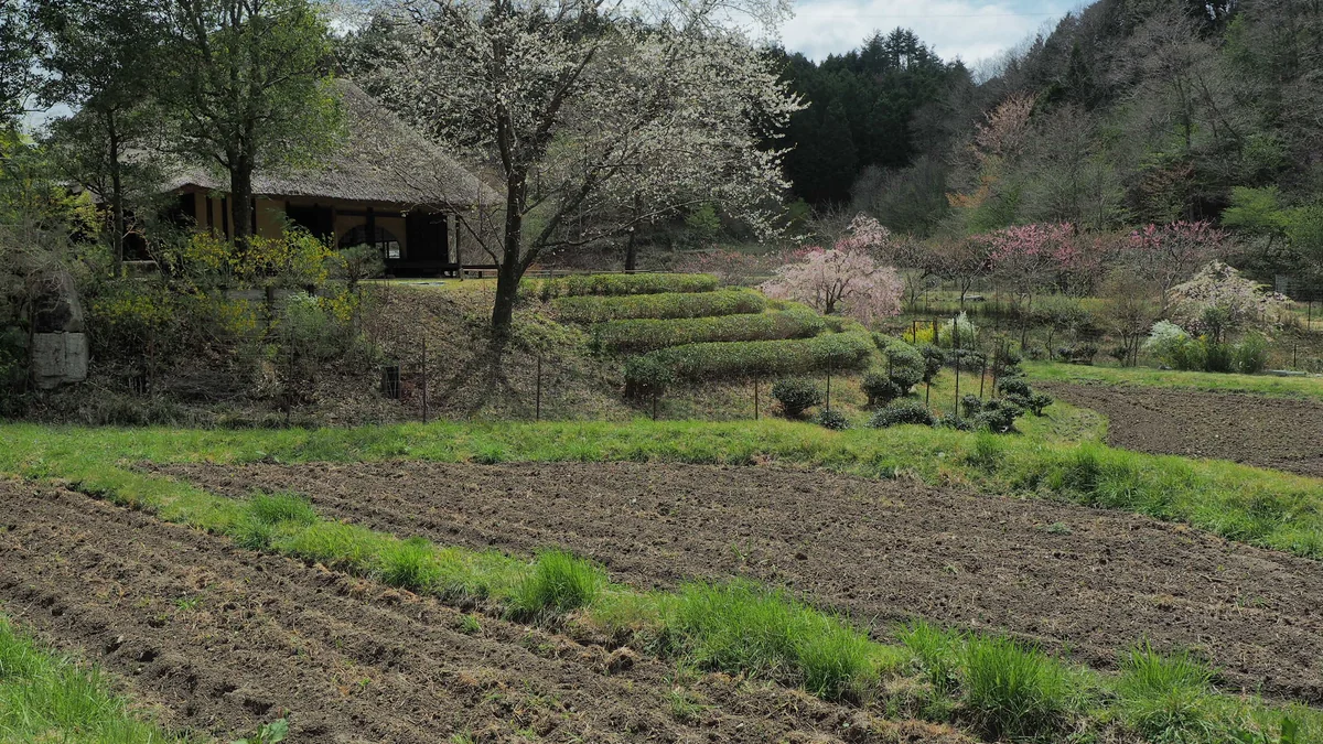 投稿写真：日本の原風景