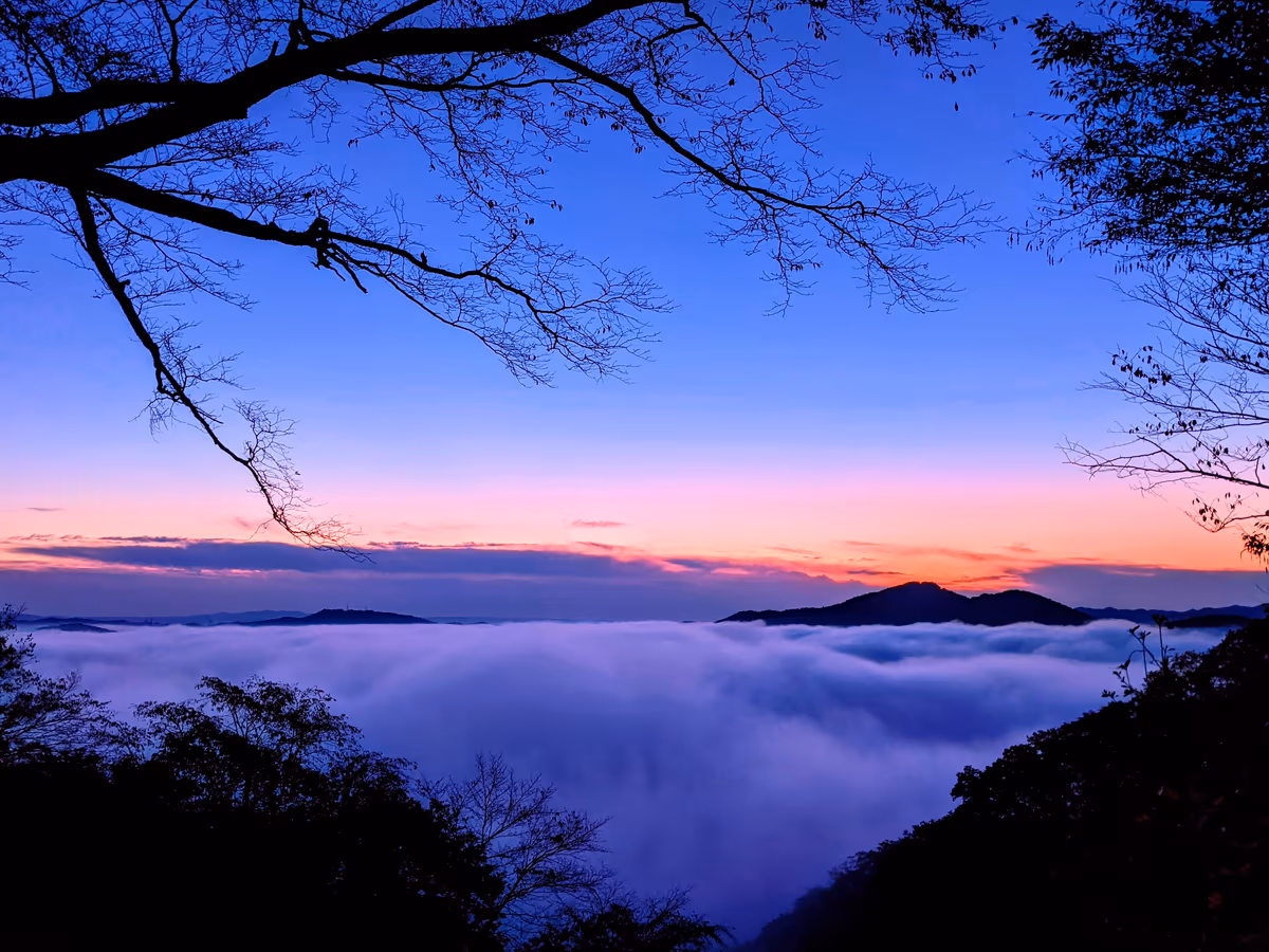 skydanceさんの投稿写真